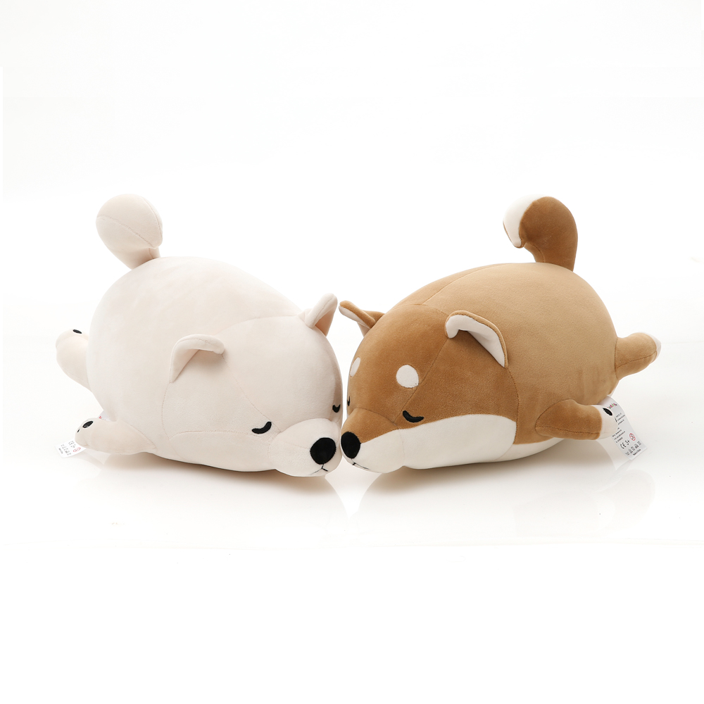 Family sweet shiba inu