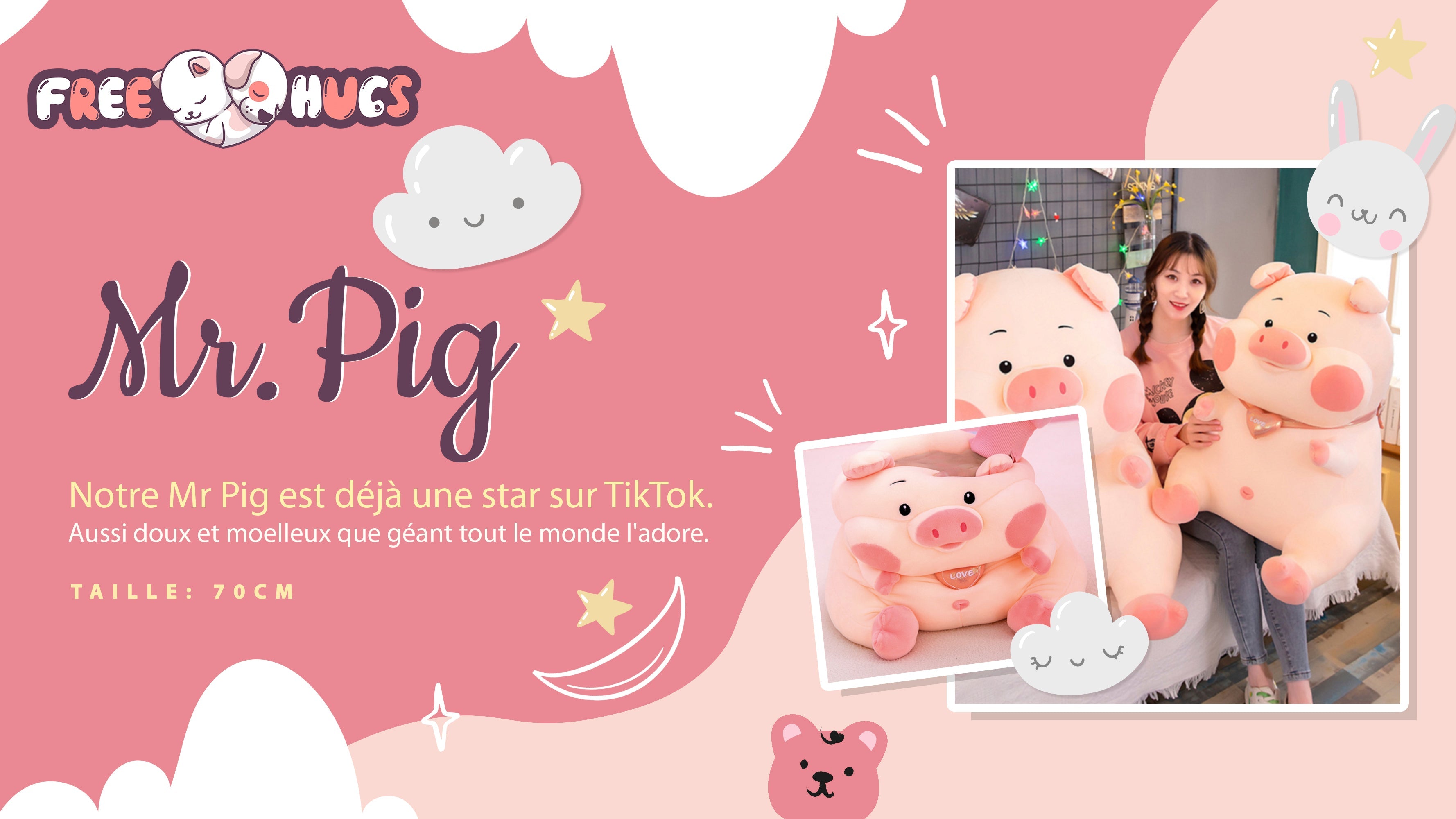 Mister PIG