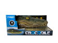 CROCODILE RC